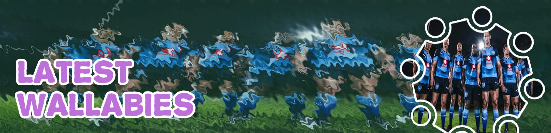 Blue bulls rugby news now