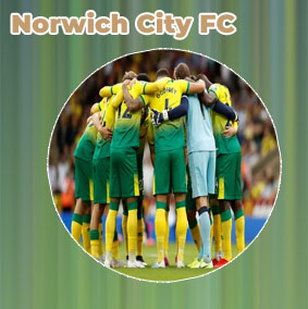 Norwich city results